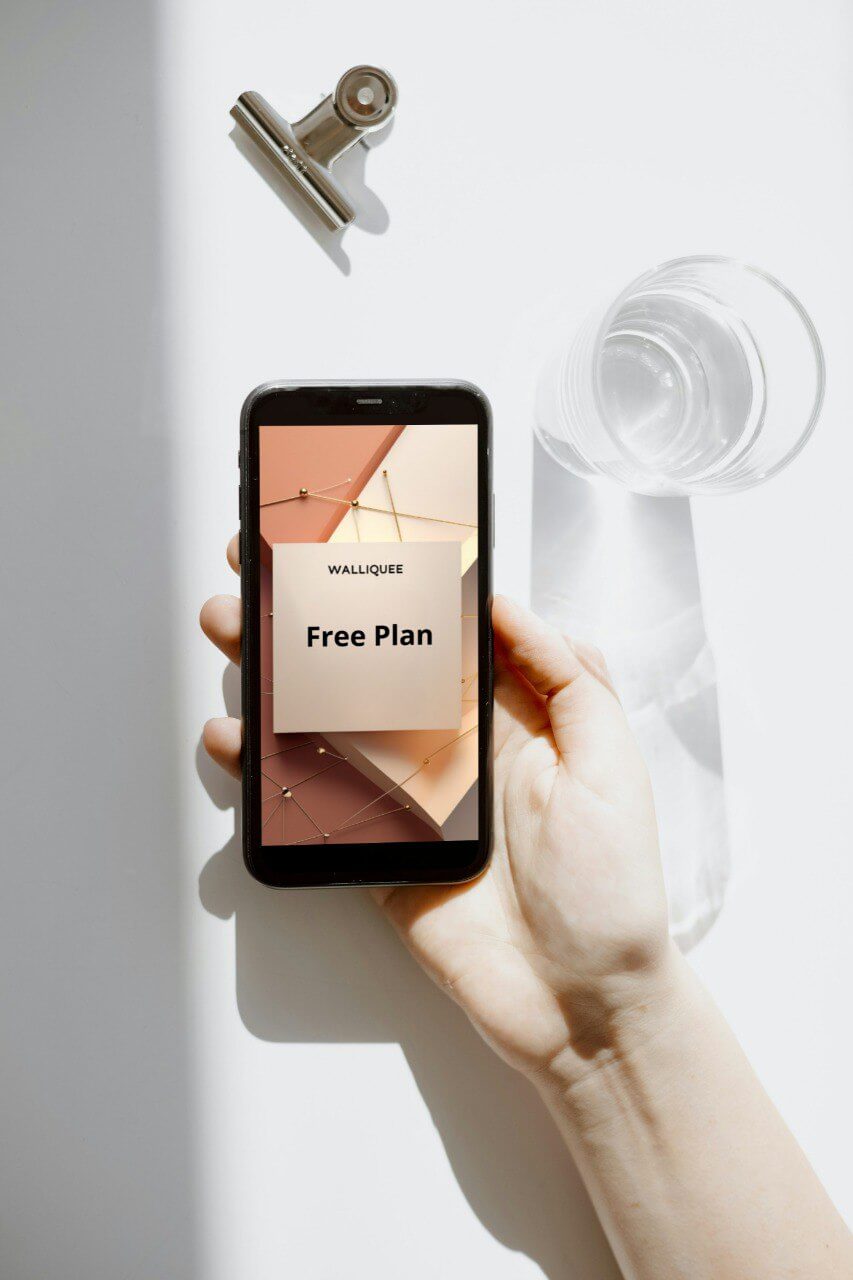 Hand holding a smartphone with a 'Free Plan' screen, with a wall mounted device in the background.